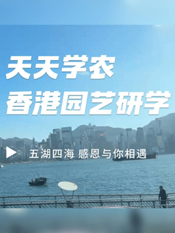 与香港园艺学会联合举办香港园艺研学，专业园境师带队讲解。